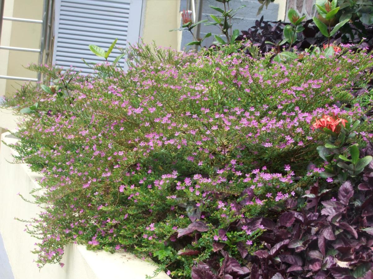 Belle Etoile Villa Soufrière Esterno foto